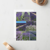 Carte De Correspondance Collage de lavande (Devant/Arrière en situation)
