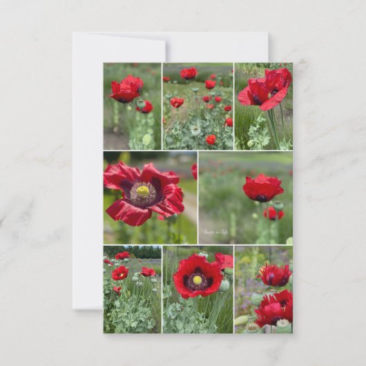 Carte De Correspondance Collage Red Poppy (Devant)