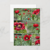 Carte De Correspondance Collage Red Poppy (Devant / Derrière)