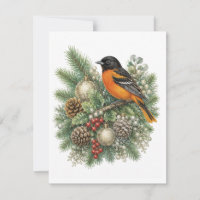 Collection Chants d'hiver du Baltimore Oriole