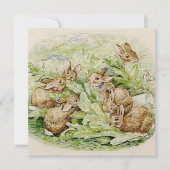 Carte De Correspondance Conte de Beatrix Potter sur les lapins Flopsy (Devant)