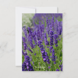Carte De Correspondance Correctif Lavender