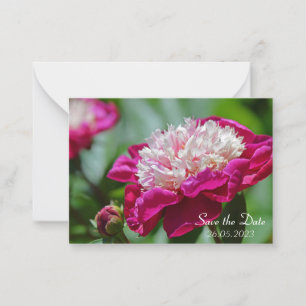 Carte De Correspondance Cottage rose Peony Fleur botanique 