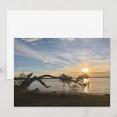 Carte De Correspondance Coucher de soleil sur East Bay (Devant / Derrière)