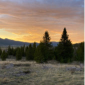 Carte De Correspondance Coucher de soleil sur le Montana