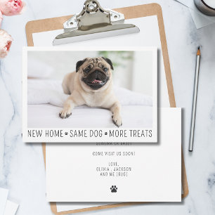 Carte De Correspondance Cute Funny Modern New Home Photo Animal Chien