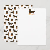 Carte De Correspondance Dachshund à poils longs (Devant / Derrière)