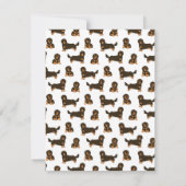 Carte De Correspondance Dachshund aux cheveux longs (Dos)