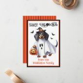 Carte De Correspondance Dachshund Chien Chien Chien Chien Chien Heureux Ha (Devant/Arrière en situation)