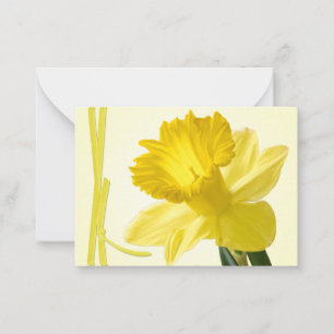 Carte De Correspondance Daffodile de printemps jaune Gros plan de la photo