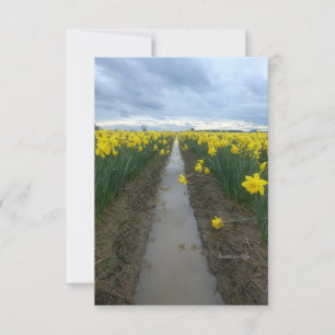 Carte De Correspondance Daffodiques du jour nuageux