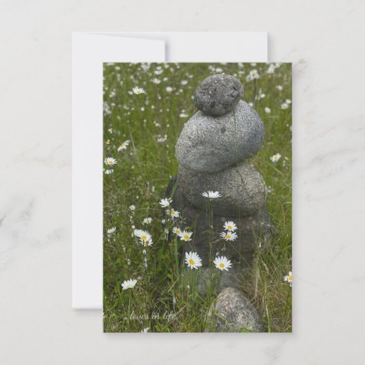 Carte De Correspondance Daisies & Rock Stack (Devant)