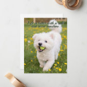 Carte De Correspondance Dandelion Days (Devant/Arrière en situation)