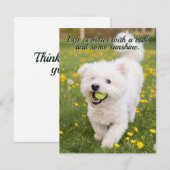 Carte De Correspondance Dandelion Days (Devant / Derrière)