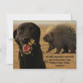 Carte De Correspondance Dog vs. Porcupine Card (Devant)
