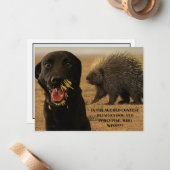 Carte De Correspondance Dog vs. Porcupine Card (Devant/Arrière en situation)