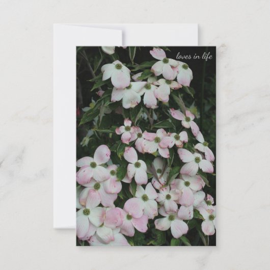 Carte De Correspondance Dogwood (Devant)