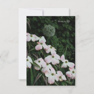 Carte De Correspondance Dogwood & Allium