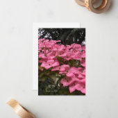 Carte De Correspondance Dogwood rose (Devant/Arrière en situation)