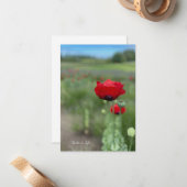 Carte De Correspondance Dreamy Red Poppy (Devant/Arrière en situation)