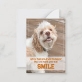 Carte De Correspondance Drôle Chien Immobilier Pop By (Devant)