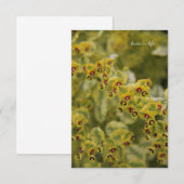 Carte De Correspondance Euphorbia (Devant / Derrière)