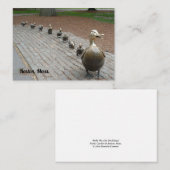 Carte De Correspondance Faites place aux colliers ! (Devant / Derrière)