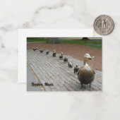 Carte De Correspondance Faites place aux colliers ! (Devant/Arrière en situation)