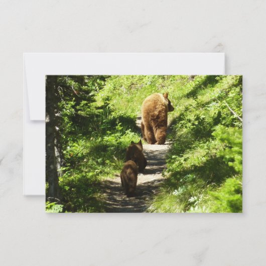 Carte De Correspondance Famille d'ours Brown (Devant)