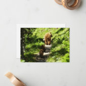 Carte De Correspondance Famille d'ours Brown (Devant/Arrière en situation)