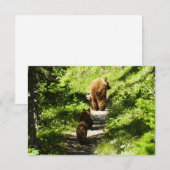 Carte De Correspondance Famille d'ours Brown (Devant / Derrière)
