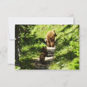 Carte De Correspondance Famille d'ours brun