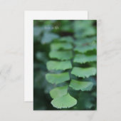 Carte De Correspondance Ferme à cheveux de Maiden (Devant / Derrière)