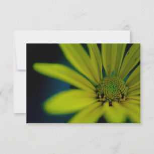Carte De Correspondance Fermer le Fleur sauvage jaune