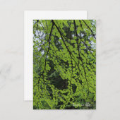 Carte De Correspondance Feuillage de l'arbre de printemps (Devant / Derrière)