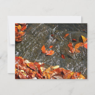 Carte De Correspondance Feuilles d'automne dans la cascade I Photographie 