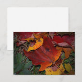 Carte De Correspondance Feuilles d'automne vibrantes (Devant / Derrière)