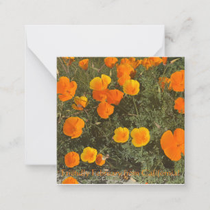 Carte De Correspondance Février amical depuis la Californie !