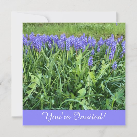Carte De Correspondance Fiche photo Violet Bluebells (Devant)