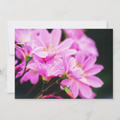 Carte De Correspondance Fille rose Fleurs de printemps Nature (Devant)