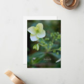 Carte De Correspondance Fleur blanche bébé (Devant/Arrière en situation)