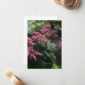 Carte De Correspondance Fleur de jardin rose (Devant/Arrière en situation)