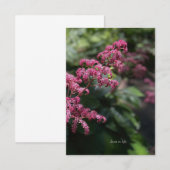 Carte De Correspondance Fleur de jardin rose (Devant / Derrière)