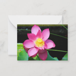 Carte De Correspondance Fleur de Lotus rose chaud