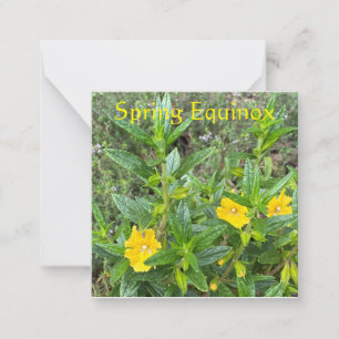 Carte De Correspondance Fleur de singe équinoxe du printemps