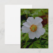Carte De Correspondance Fleur de tourbe blanche simple (Devant / Derrière)