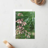 Carte De Correspondance Fleur Heuchera (Devant/Arrière en situation)