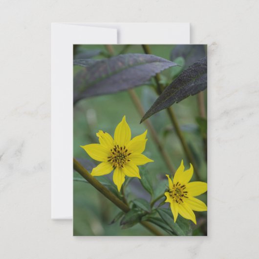 Carte De Correspondance Fleur jaune d'automne (Devant)