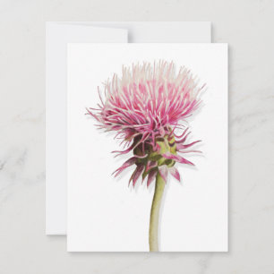 Carte De Correspondance Fleur sauvage de chardon rose en aquarelle en fleu