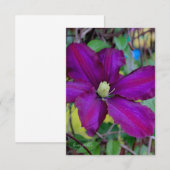 Carte De Correspondance Fleur violette Clematis (Devant / Derrière)